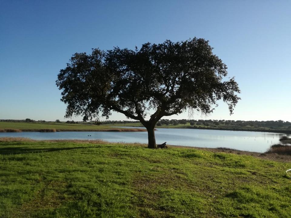 Вилла Monte Da Figueira Amareleja Экстерьер фото