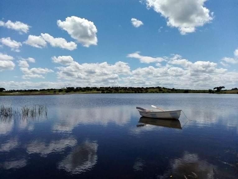Вилла Monte Da Figueira Amareleja Экстерьер фото