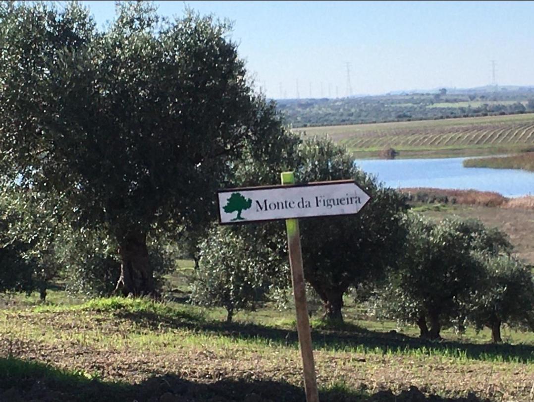 Вилла Monte Da Figueira Amareleja Экстерьер фото