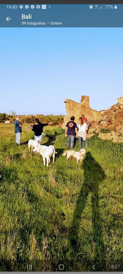 Вилла Monte Da Figueira Amareleja Экстерьер фото