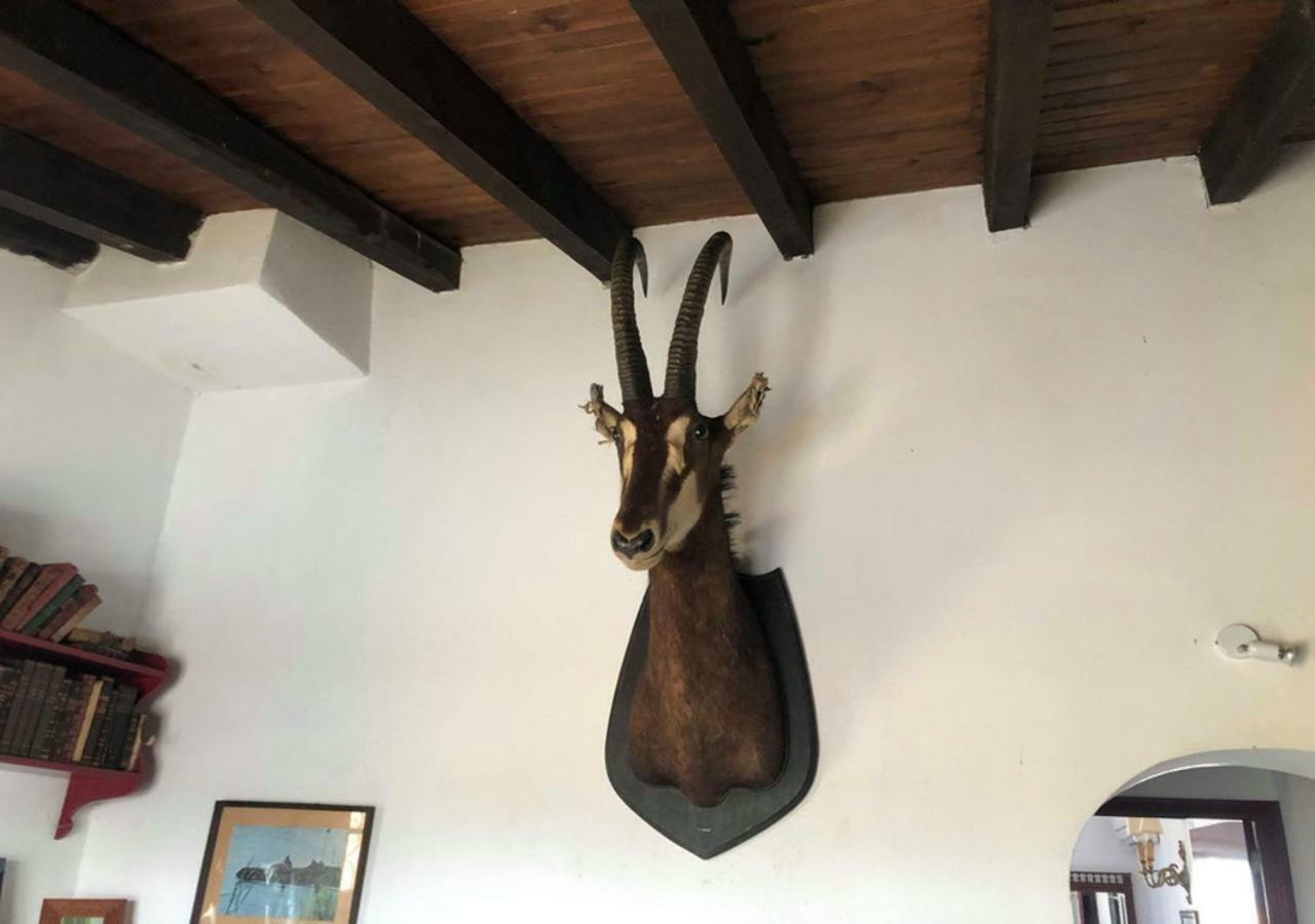 Вилла Monte Da Figueira Amareleja Экстерьер фото